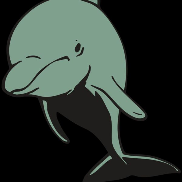 AR DOLPIN 11 RC Thumbnail