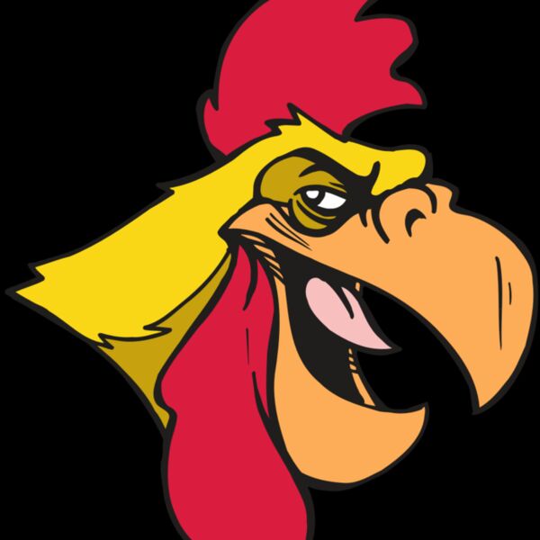 AR5 Gamecock 06 RQC Thumbnail