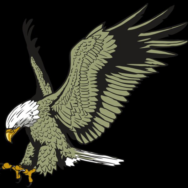 AR10 EAGLE 03 RQC Thumbnail