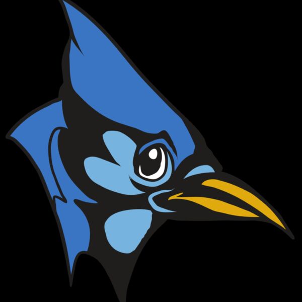 AR31 BLUEJAY 03 RQC Thumbnail