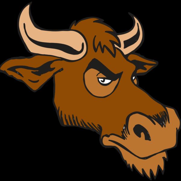 AR5 Bull 06 RQC Thumbnail