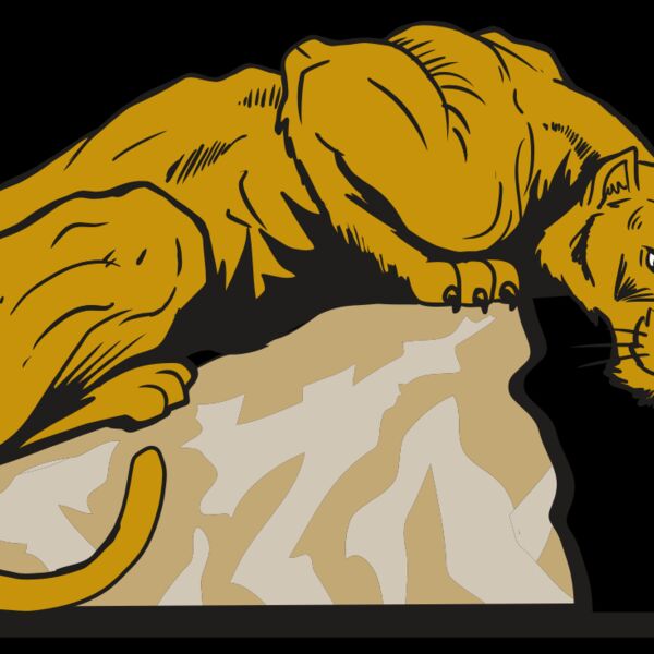 AR10 PANTHER 01 RQC Thumbnail