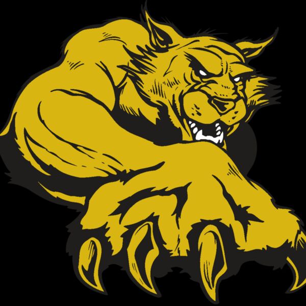 AR WILDCAT 26 RC Thumbnail