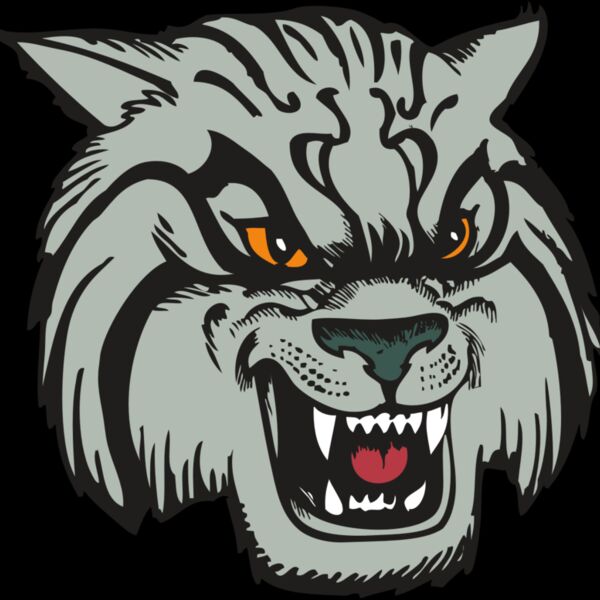 BAW WILDCAT 03 RC Thumbnail