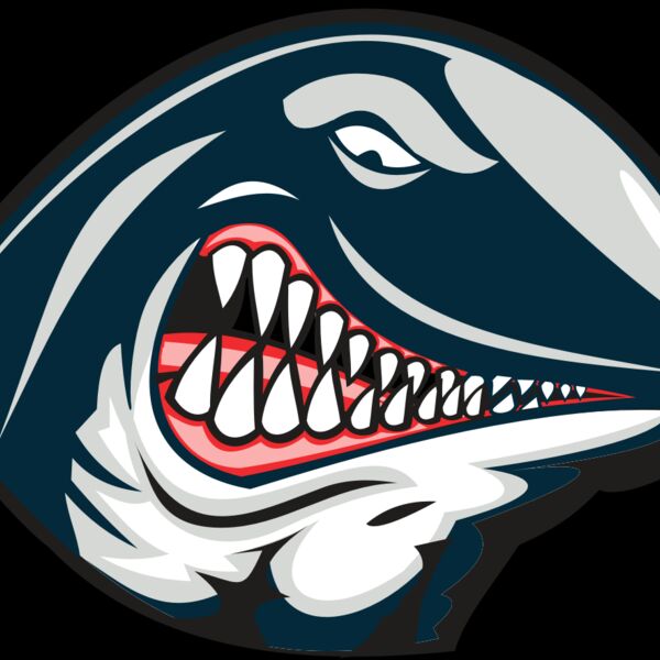 WHALE HD0501 RQC Thumbnail