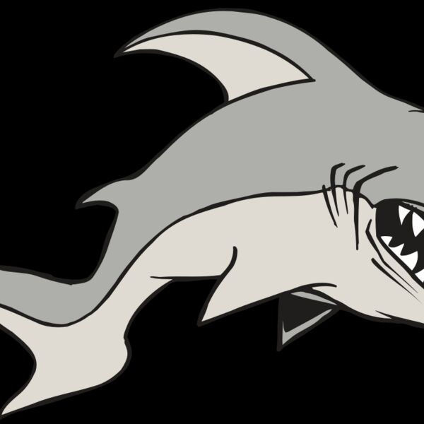 AR5 Shark 10 RQC Thumbnail