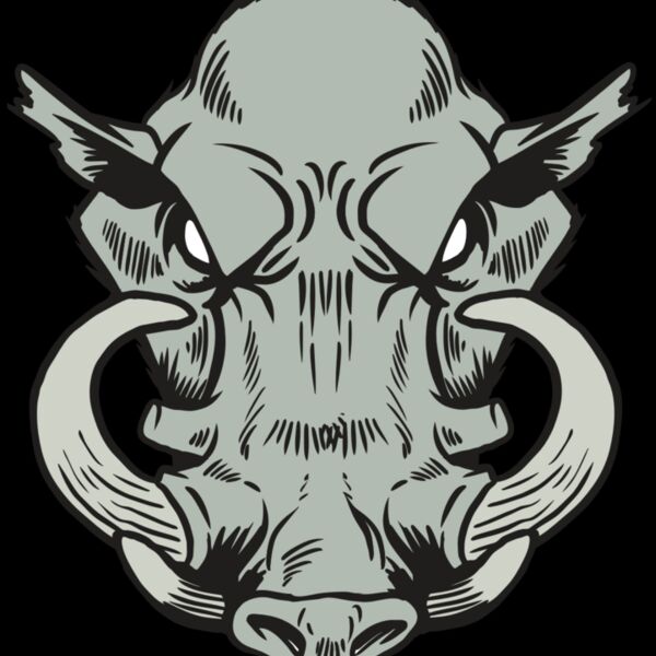 AR20 RAZORBACK 38 RQC Thumbnail