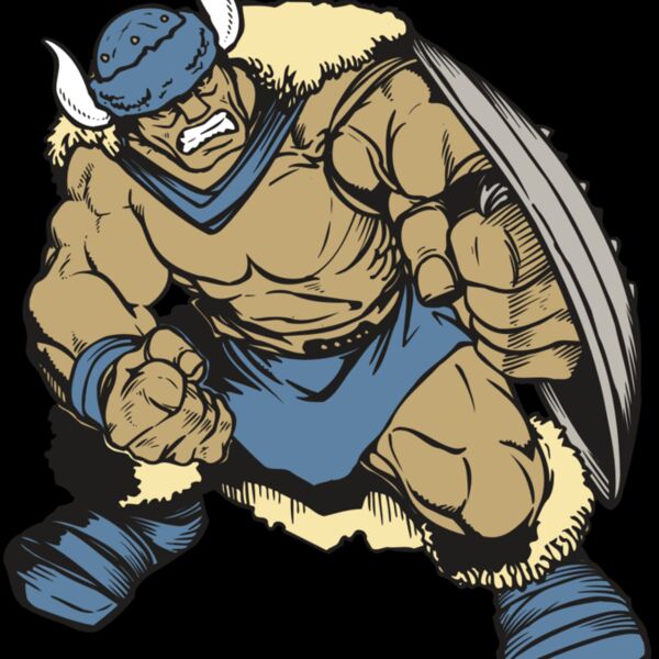 AR VIKING 36 RC Thumbnail